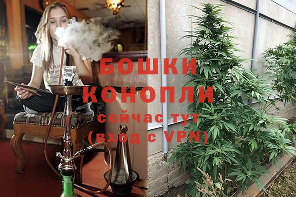 spice Балахна