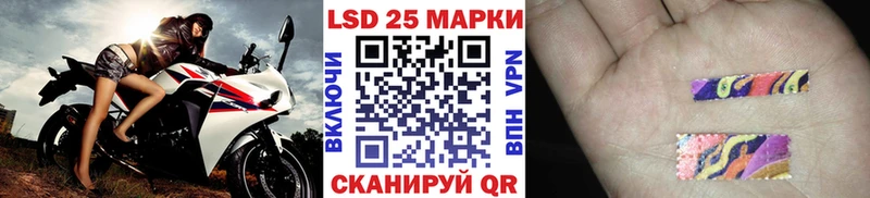 как найти   Строитель  Марки N-bome 1,8мг 