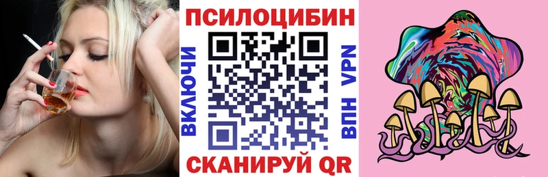 omg вход  Строитель  Галлюциногенные грибы Cubensis 