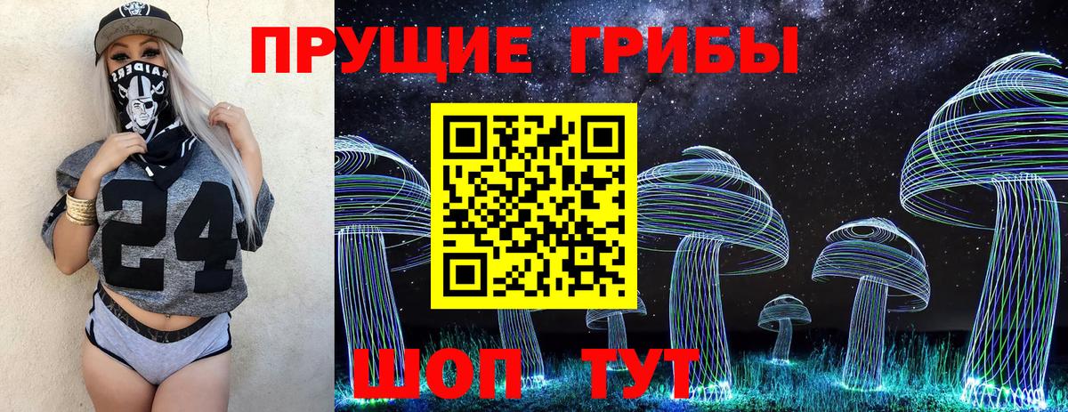 Галлюциногенные грибы Psilocybe Строитель