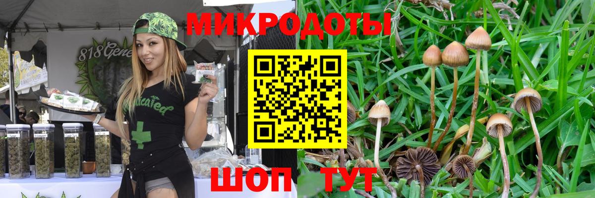 Строитель  закладка  Вход с VPN  Псилоцибиновые грибы мицелий 
